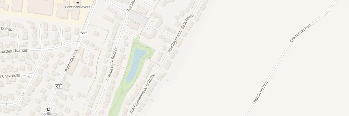Plan du 39 Rue Raymonde de la Roche au Plessis-Pâté