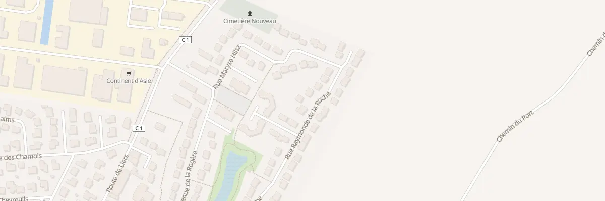 Plan du 44 Rue Raymonde de la Roche au Plessis-Pâté