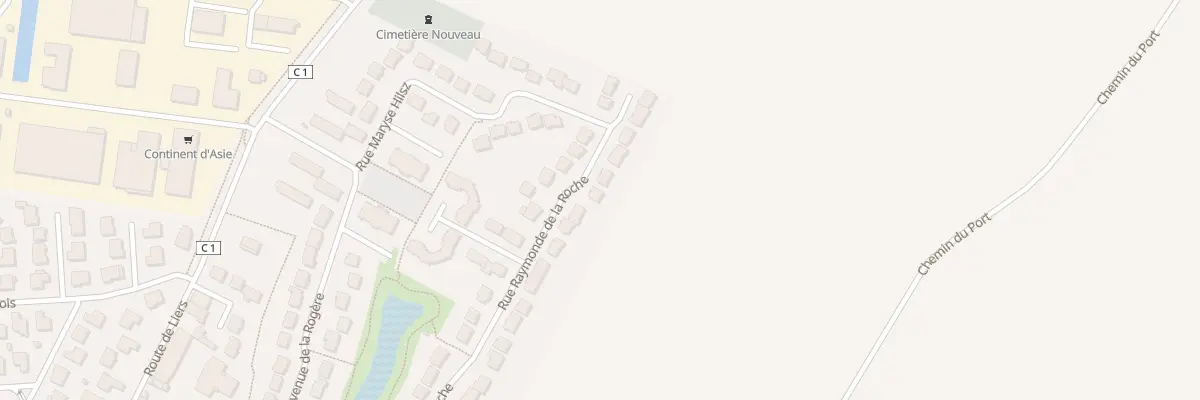Plan du 53 Rue Raymonde de la Roche au Plessis-Pâté