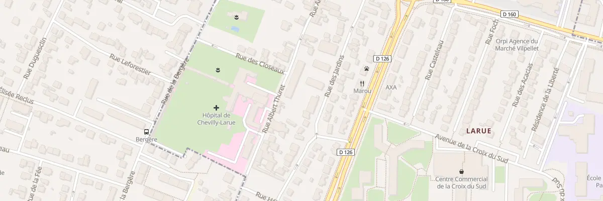 Plan du 21 Rue Albert Thuret à Chevilly-Larue