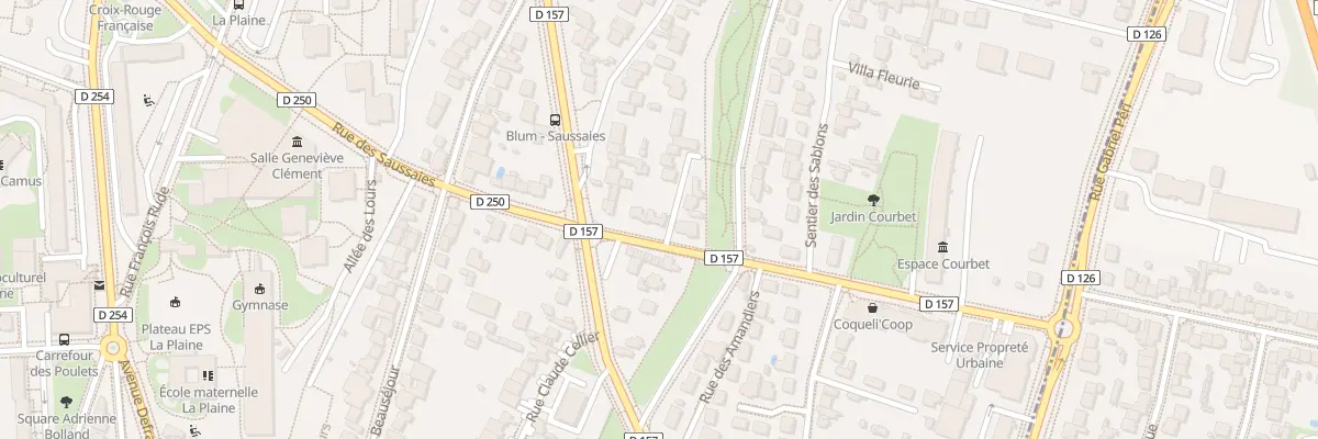 Plan du 21 Rue des Saussaies à Cachan