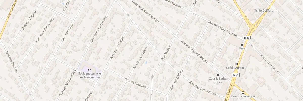 Plan du 22 Rue des Cerisiers à Savigny-sur-Orge