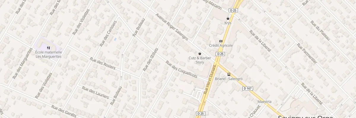 Plan du 12 Rue des Coquelicots à Savigny-sur-Orge