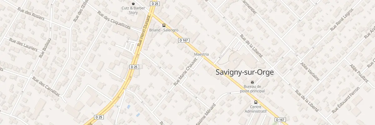 Plan du 13 Rue Marie Chauvet à Savigny-sur-Orge