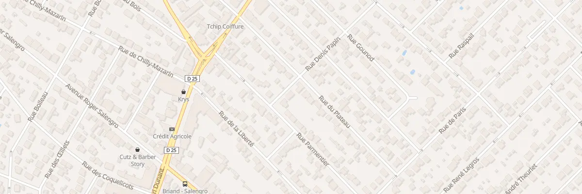 Plan du 4 Rue Denis Papin à Savigny-sur-Orge