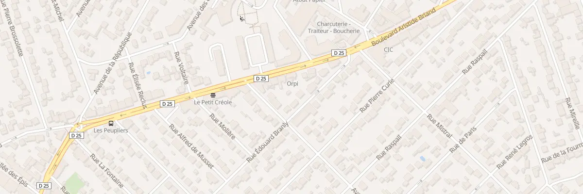 Plan du 29 Rue Edouard Branly à Savigny-sur-Orge