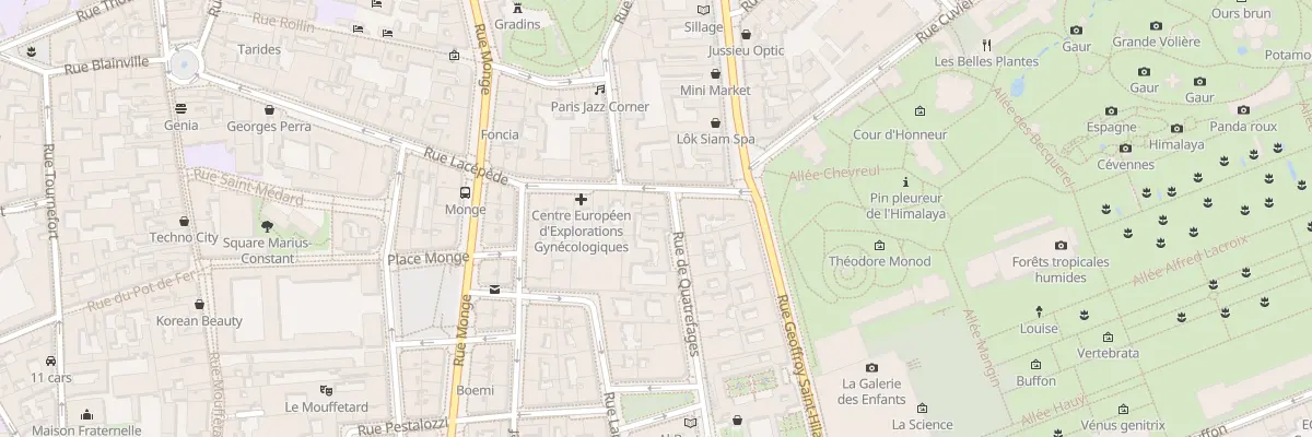 Plan du 11 Rue de Quatrefages à Paris 5e Arrondissement