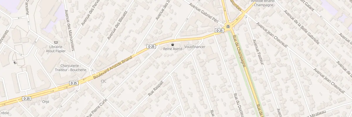Plan du 103 Rue Raspail à Savigny-sur-Orge