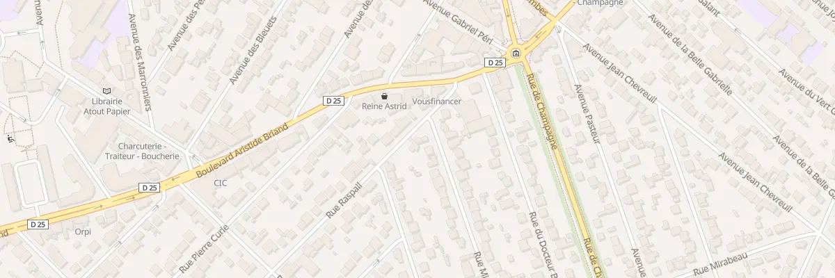 Plan du 100 Rue Raspail à Savigny-sur-Orge