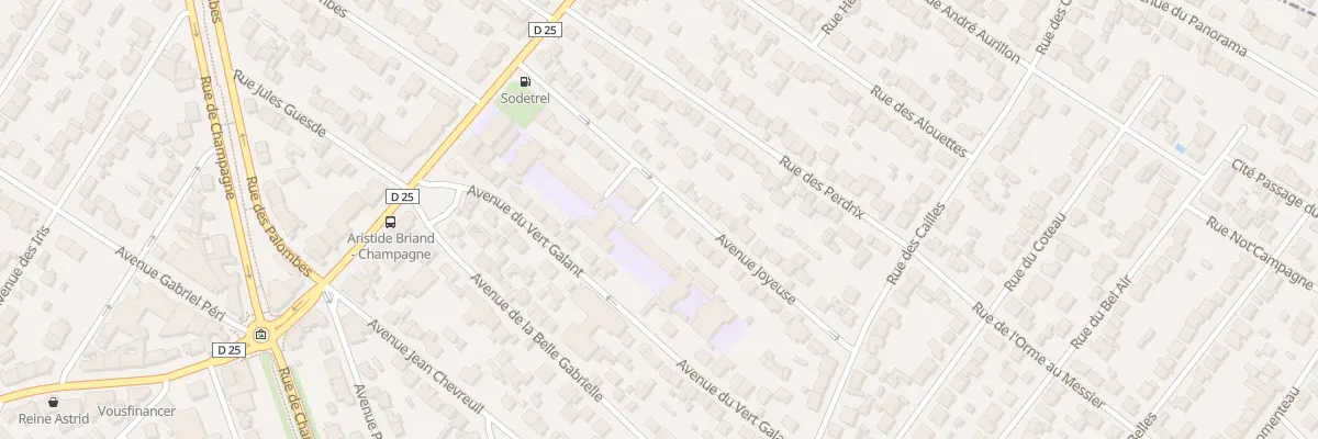 Plan du 25 Rue Joyeuse à Savigny-sur-Orge