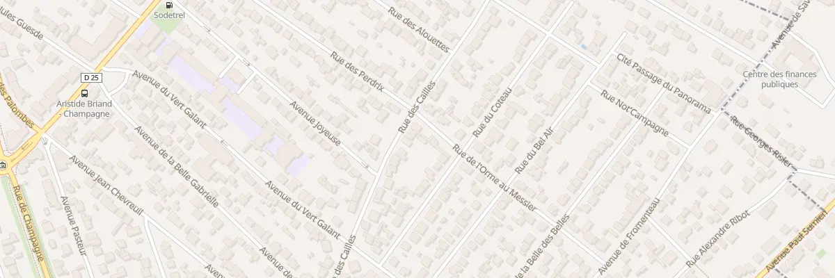 Plan du 64 Rue des Cailles à Savigny-sur-Orge