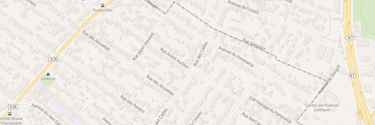 Plan du 81 Rue des Cailles à Savigny-sur-Orge