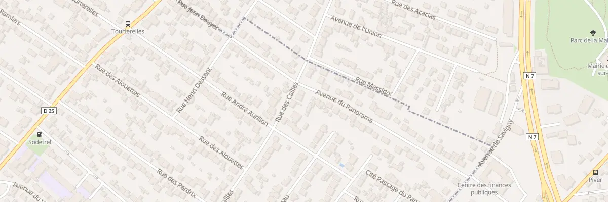 Plan du 100 Rue des Cailles à Savigny-sur-Orge