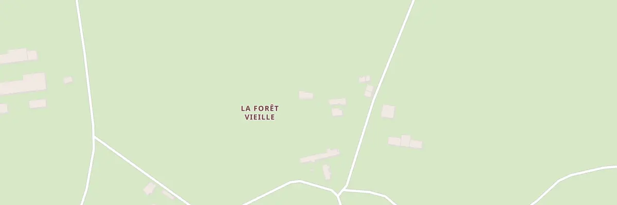 Plan du 195 Foret Vieille à Loye-sur-Arnon