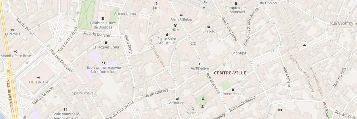 Plan du 51 Rue du Docteur Témoin à Bourges
