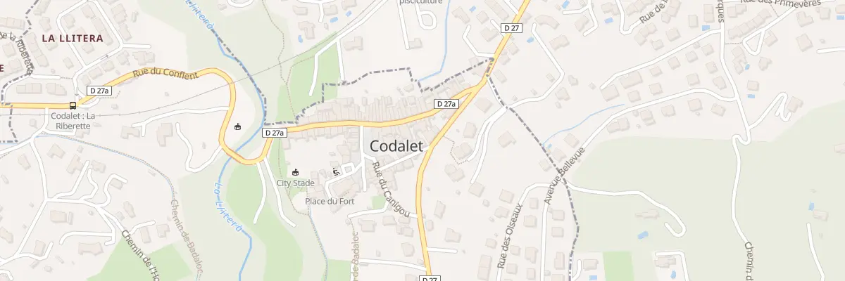 Plan du 11 Rue des Fleurs à Codalet