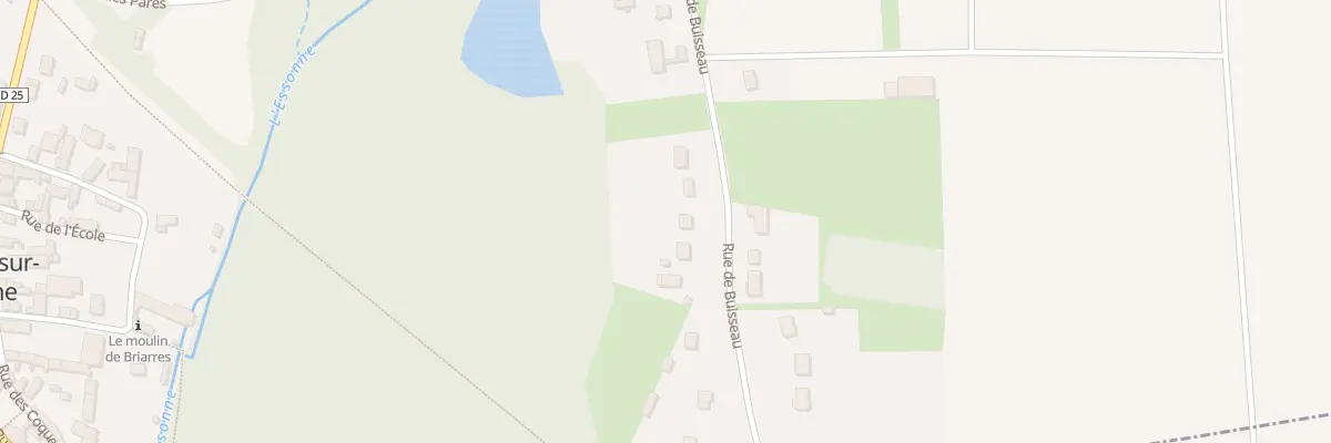 Plan du 175 Rue de Buisseau à Briarres-sur-Essonne