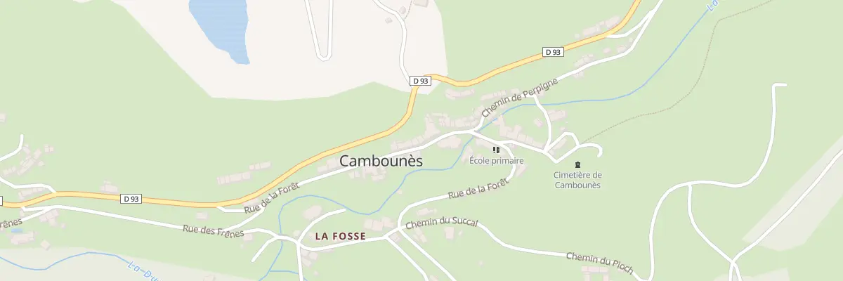 Plan du 21 Rue de la Foret à Cambounès