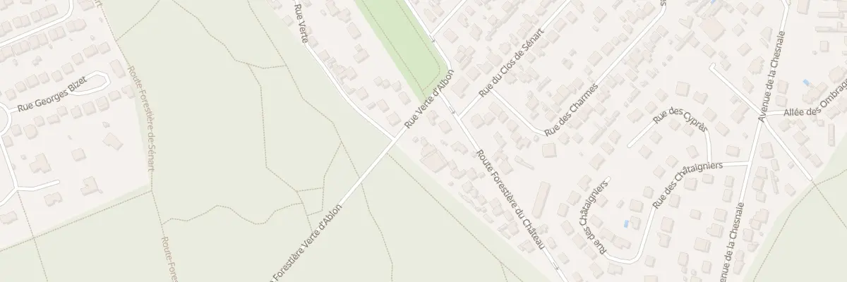 Plan du 4 Rte Forestière du Château à Montgeron