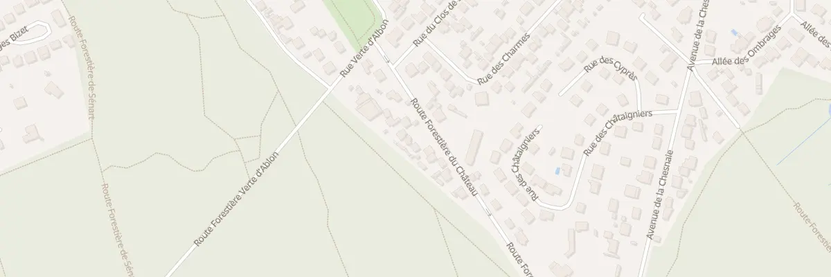 Plan du 20 Rte Forestière du Château à Montgeron