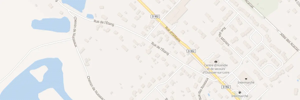 Plan du 231 Rue de l’Etang à Ouzouer-sur-Loire