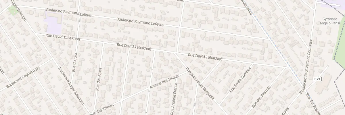Plan du 48 Rue David Tabakoff à Goussainville