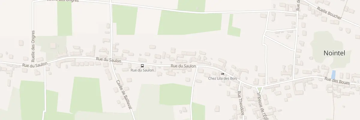 Plan du 22 Rue du Saulon à Nointel
