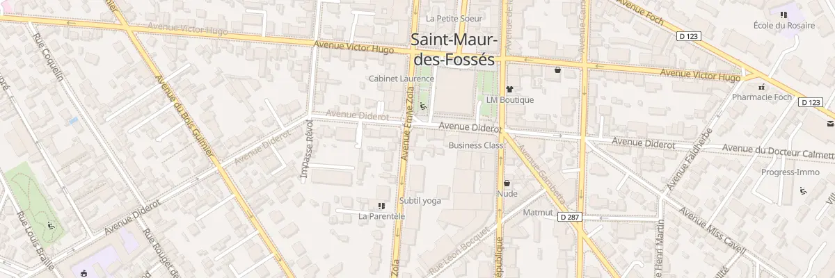 Plan du 21 Av Émile Zola à Saint-Maur-des-Fossés
