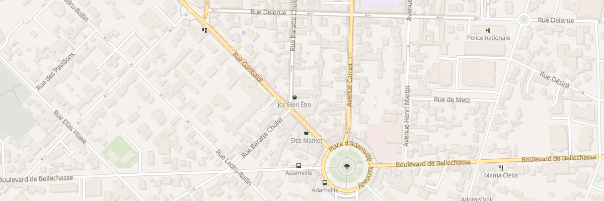 Plan du 35 Rue Baratte Cholet à Saint-Maur-des-Fossés