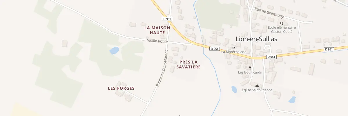 Plan du 1B Rte de St Florent à Lion-en-Sullias