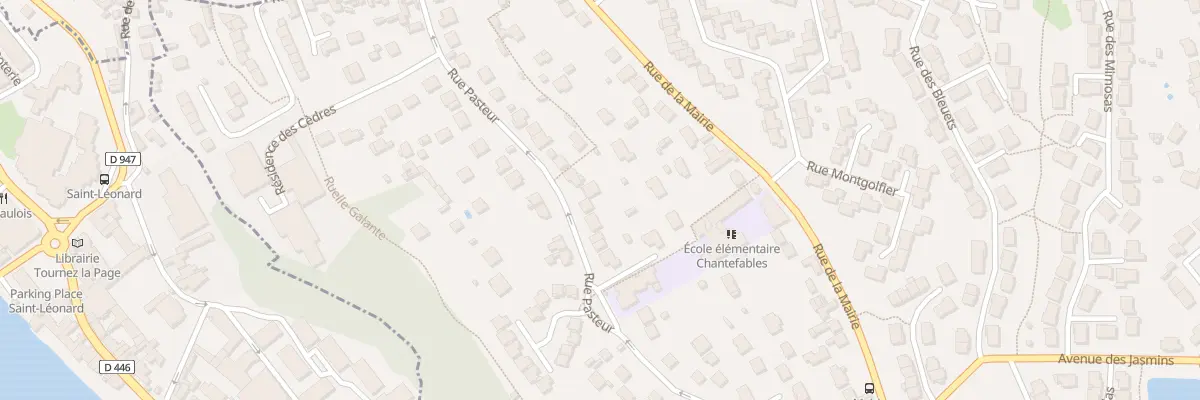 Plan du 19 Rue Pasteur à Saint-Pierre-du-Perray