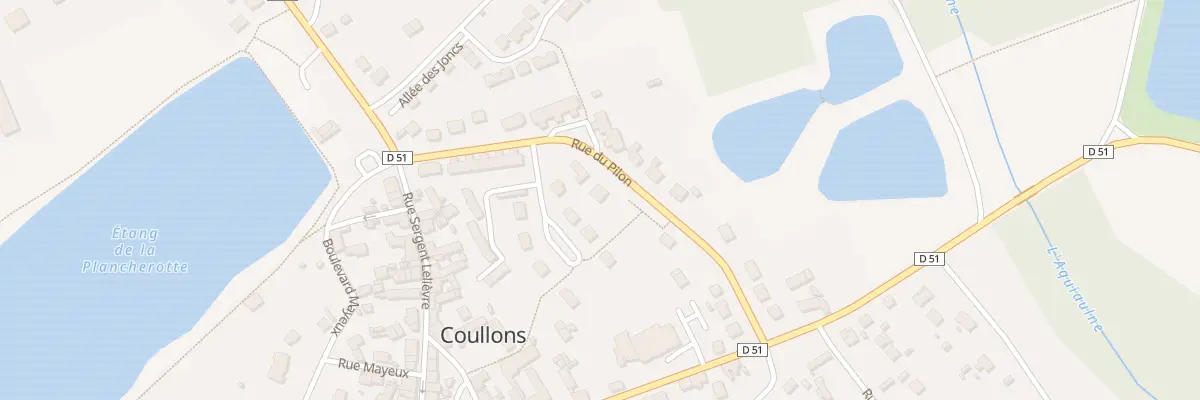 Plan du 30 Rue du Pilon à Coullons