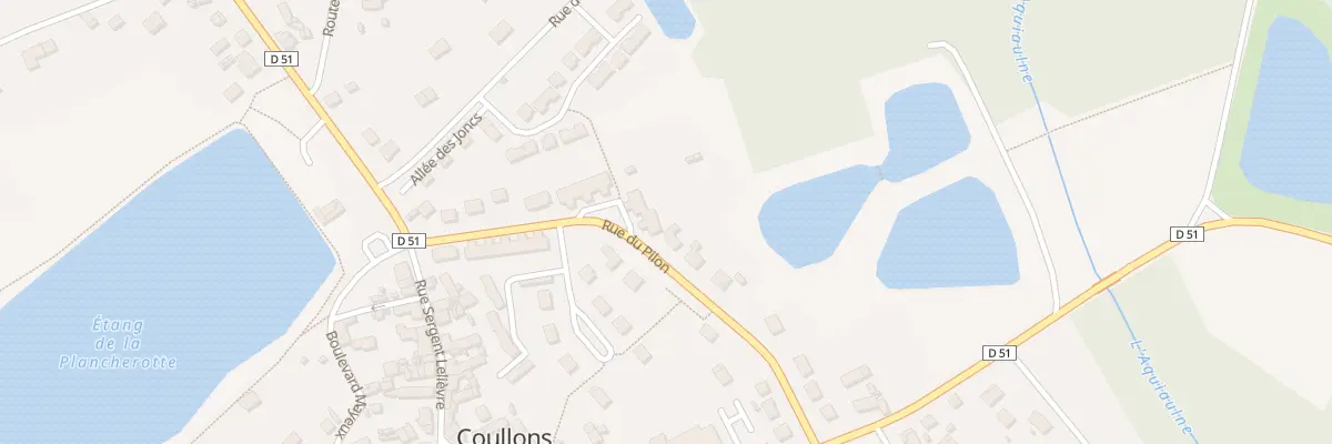 Plan du 29 Rue du Pilon à Coullons