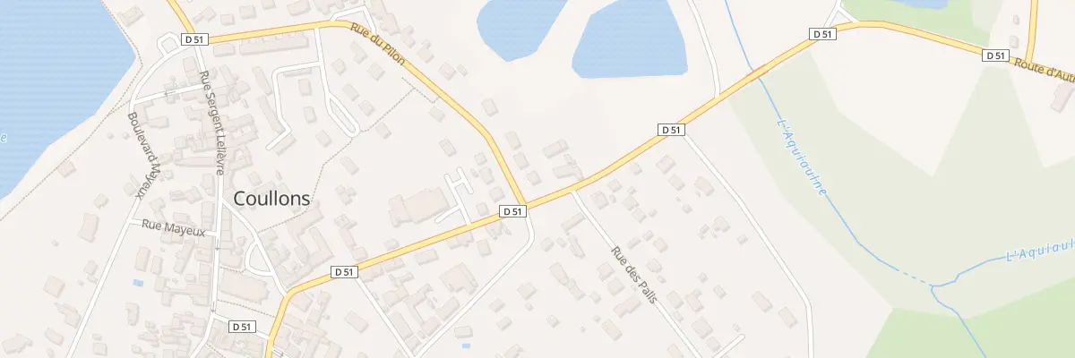 Plan du 47 Rue du Pilon à Coullons