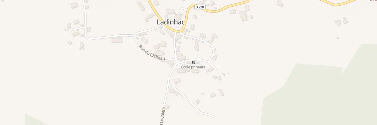 Plan du 5113 Le Bourg à Ladinhac