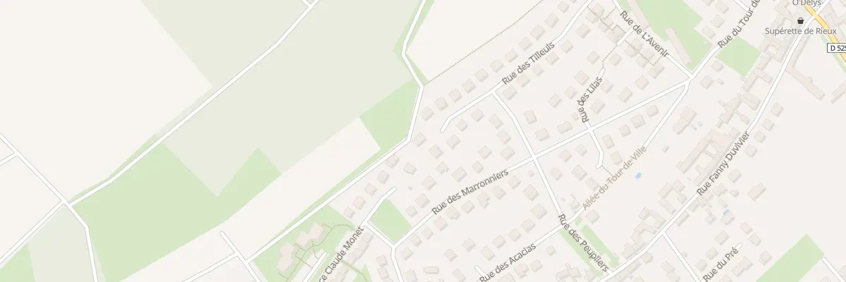 Plan du 21 Rue des Tilleuls à Rieux