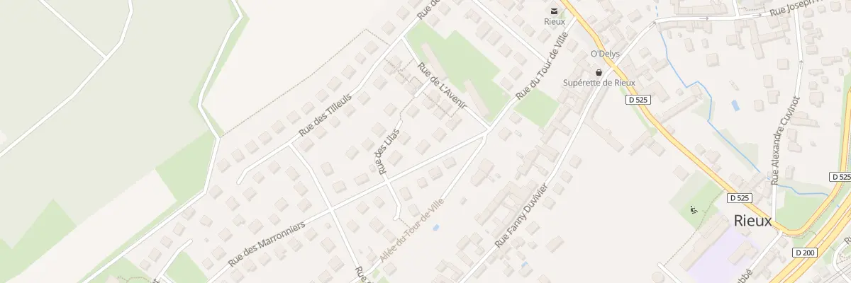 Plan du 4 Rue des Marronniers à Rieux