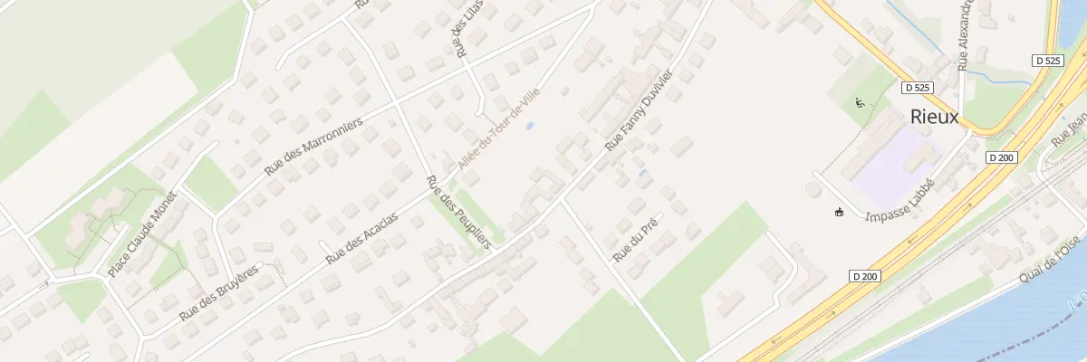 Plan du 38 Rue Fanny Duvivier à Rieux