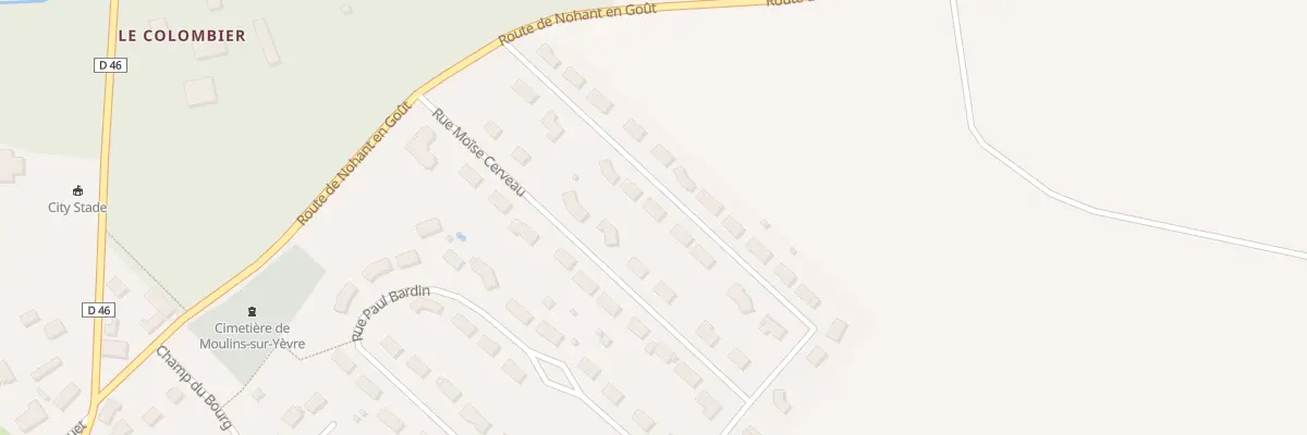 Plan du 29 Rue Moise Cerveau à Moulins-sur-Yèvre