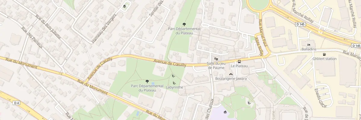 Plan du 55 Av de Coeuilly à Champigny-sur-Marne