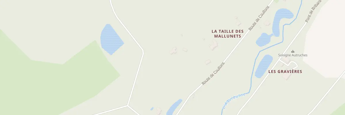Plan du 51 Rte de Coullons à Saint-Gondon