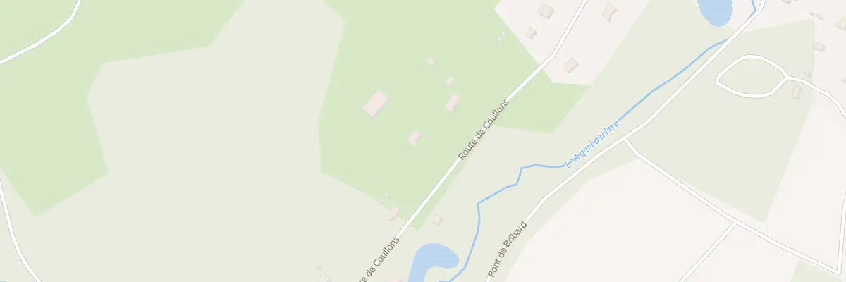 Plan du 31 Rte de Coullons à Saint-Gondon