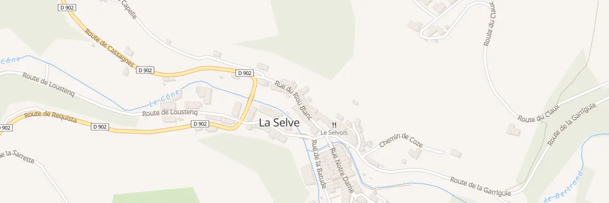 Plan du 5061 La Selve à La Selve
