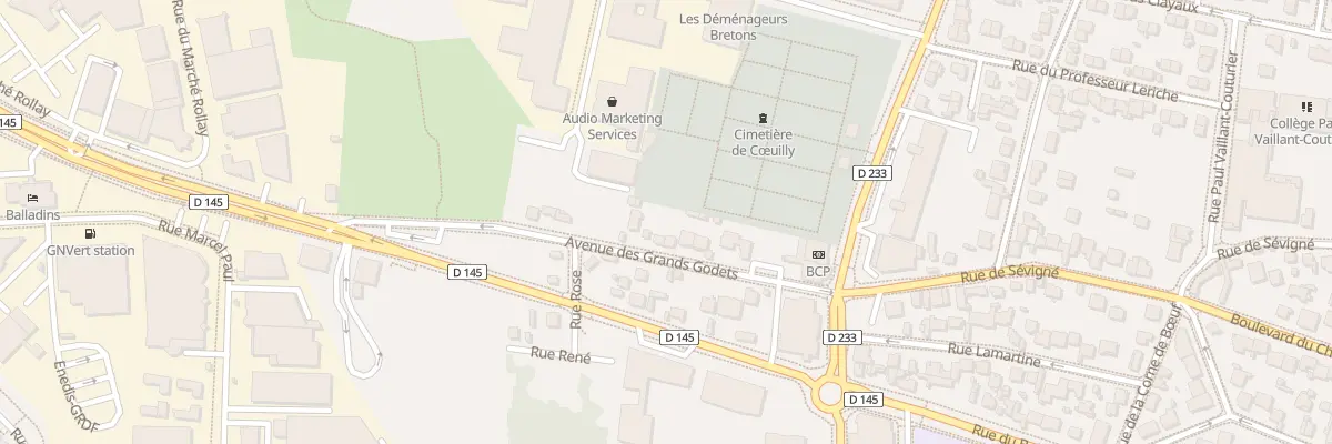 Plan du 169 Av de Coeuilly à Champigny-sur-Marne