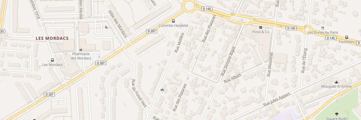 Plan du 19 Rue Molière à Champigny-sur-Marne