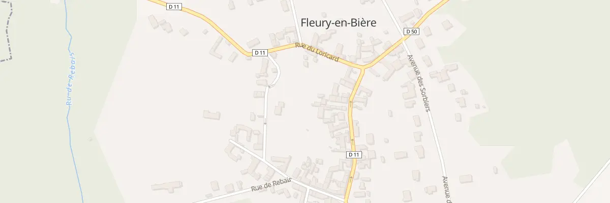 Plan du 47B Rue du Card de Richelieu à Fleury-en-Bière