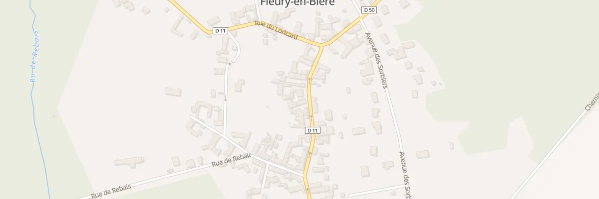 Plan du 37 Rue du Card de Richelieu à Fleury-en-Bière