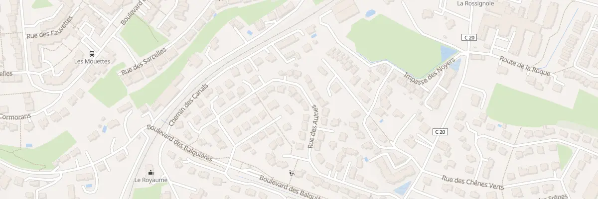 Plan du 39 Rue des Aulnes à Onet-le-Château