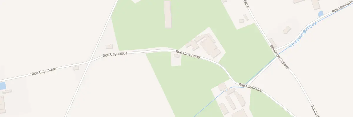 Plan du 431 Rue Cayonque à Borre