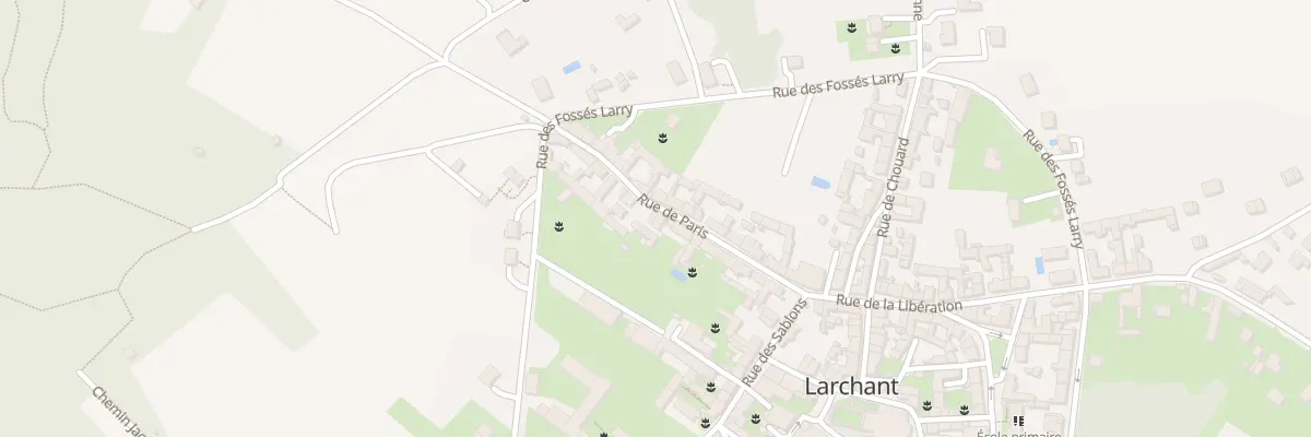 Plan du 21 Rue de Paris à Larchant